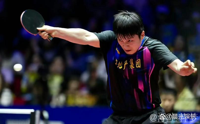 樊振东双胜助力 上海地产集团击败黄石基地·华新
